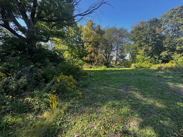 461 Sullivan Road Aurora IL 60506