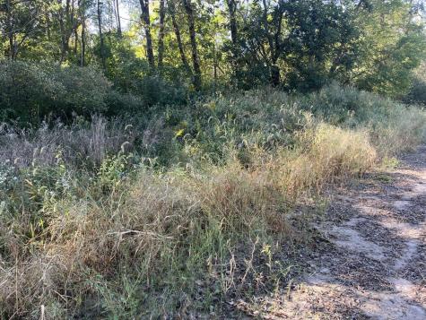 Lot 2 1365 N Avenue Princeton IL 61356