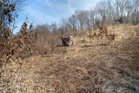 Holly Road Fulton IL 61252