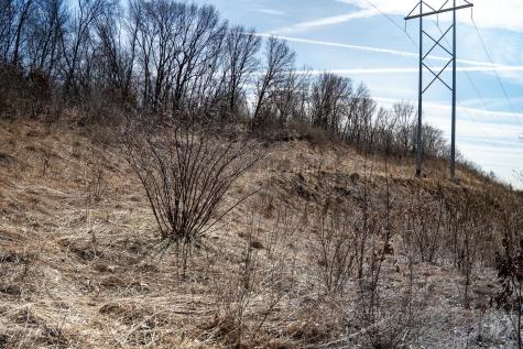 Holly Road Fulton IL 61252