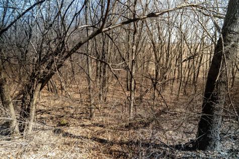 Holly Road Fulton IL 61252