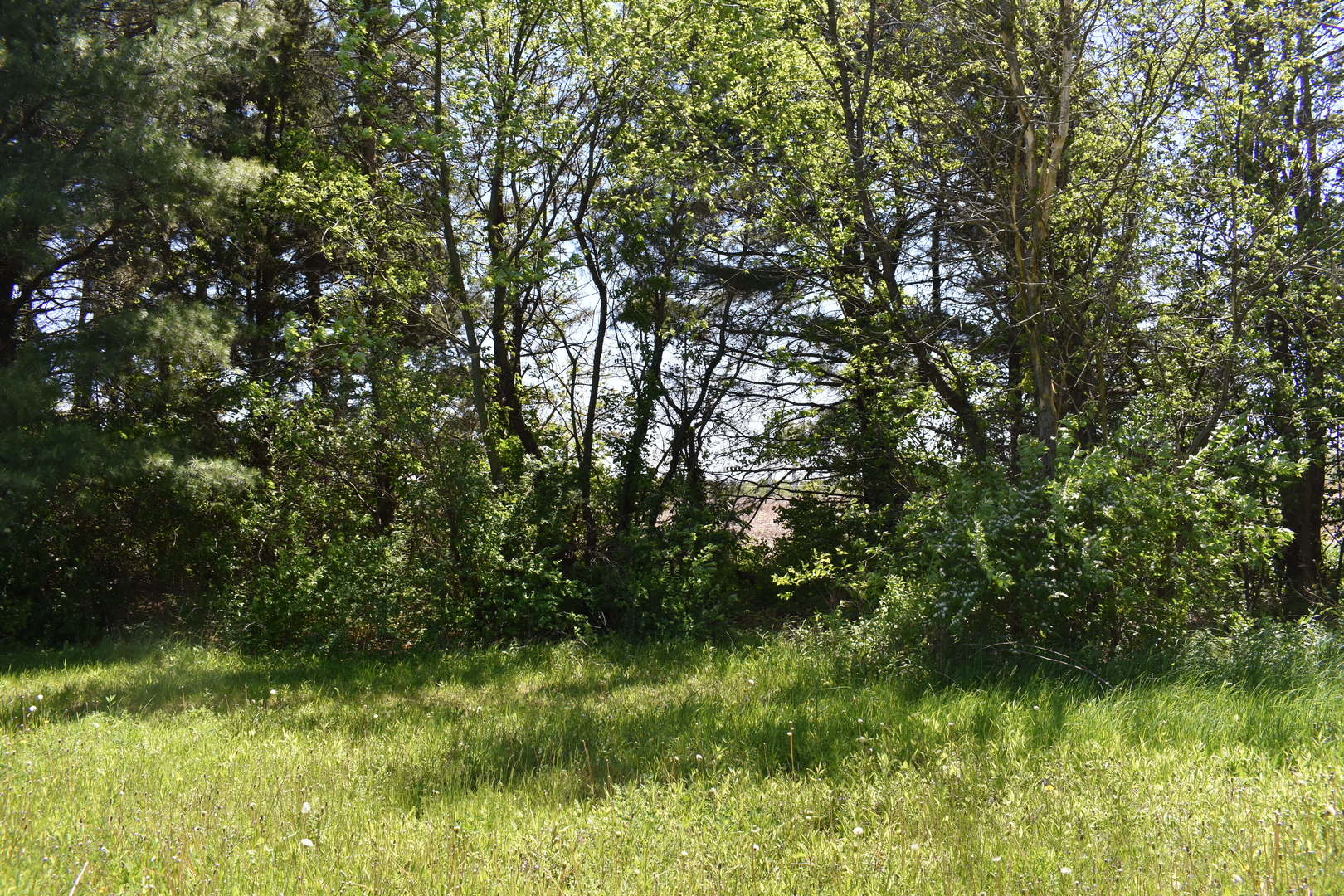 14119 West Maple Road Mokena IL 60448