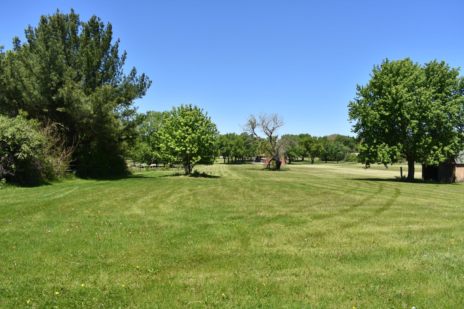 14119 West Maple Road Mokena IL 60448