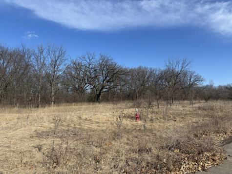 Lot 130 & Lot 131 Chippewa Trail Albany IL 61230