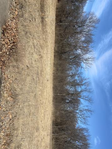 Lot 130 & Lot 131 Chippewa Trail Albany IL 61230