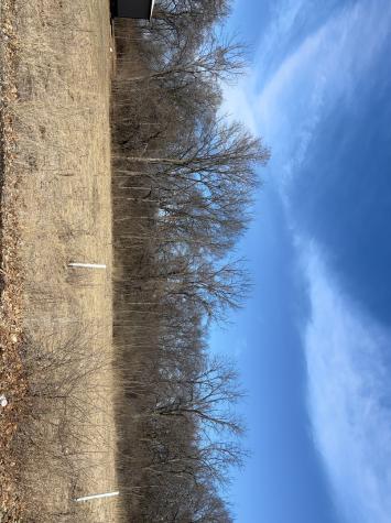Lot 130 & Lot 131 Chippewa Trail Albany IL 61230