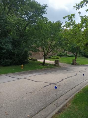 3 Merrimack Court Bolingbrook IL 60440
