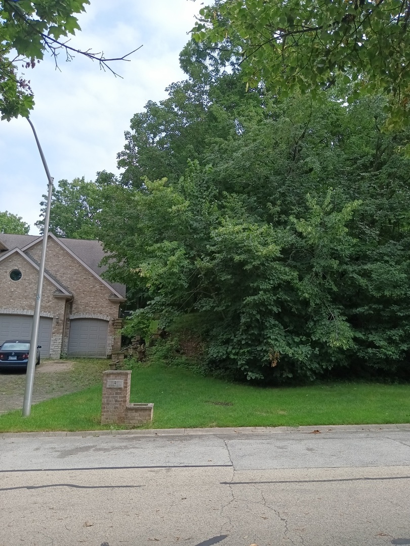 3 Merrimack Court Bolingbrook IL 60440