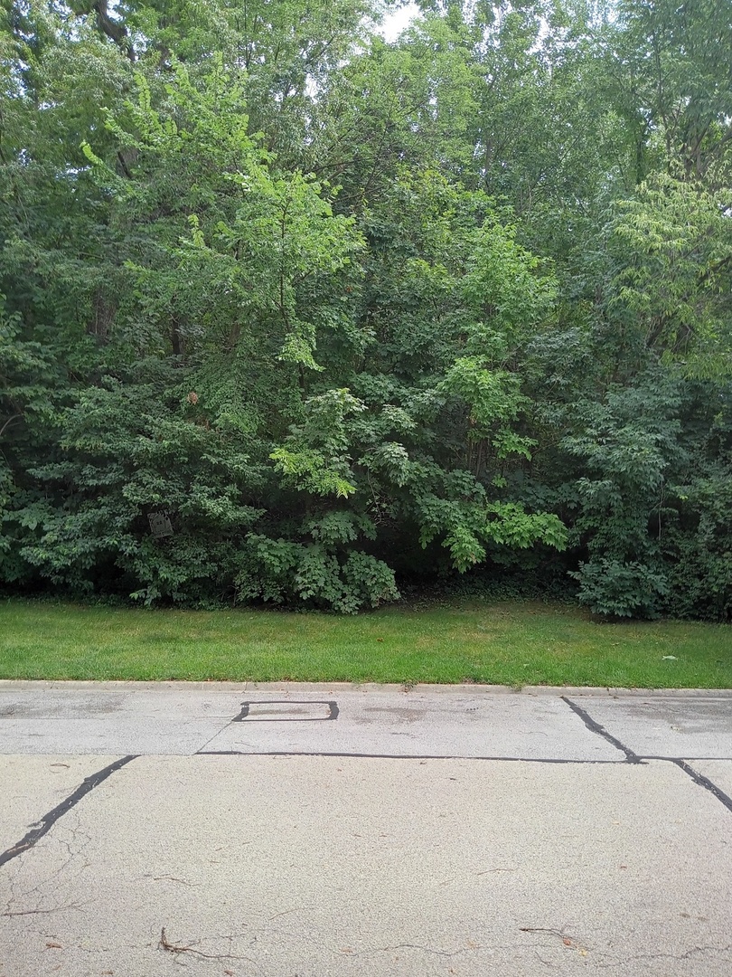3 Merrimack Court Bolingbrook IL 60440