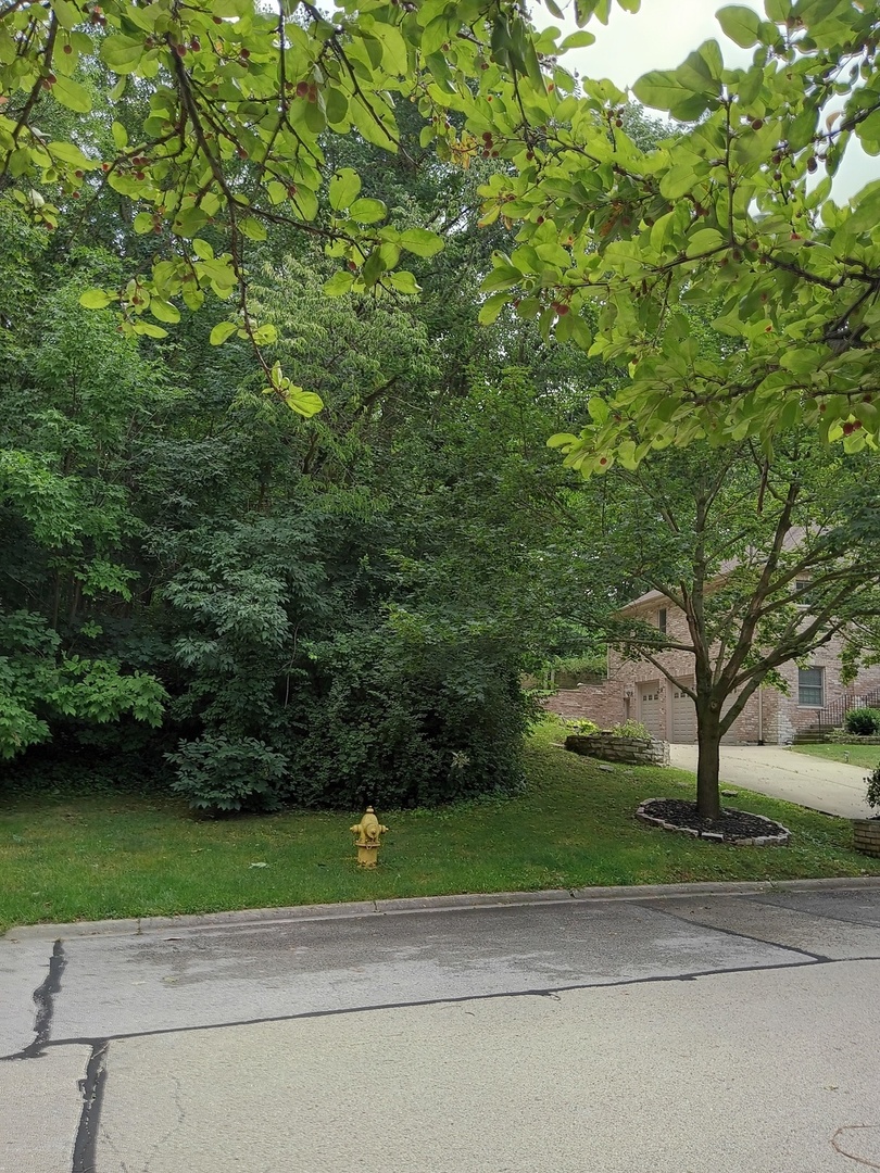 3 Merrimack Court Bolingbrook IL 60440