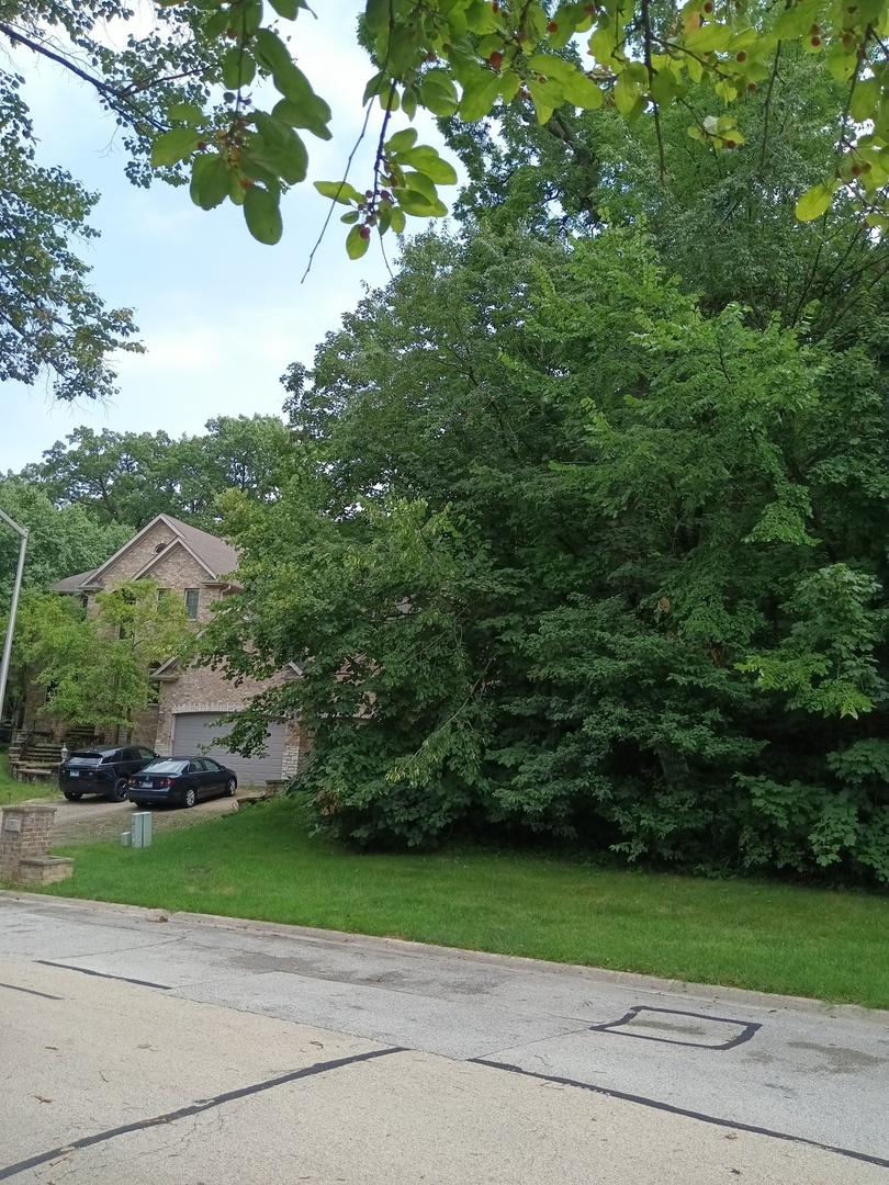 3 Merrimack Court Bolingbrook IL 60440