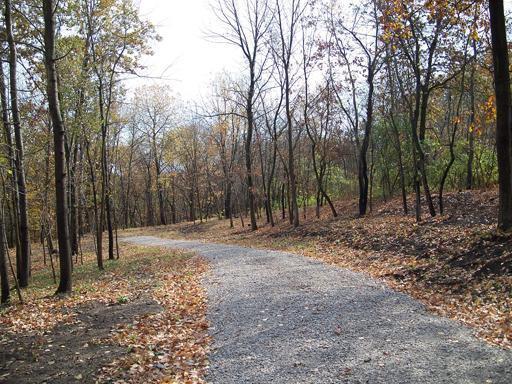Lot #6 Thirty Foot Trail Road Oglesby IL 61348