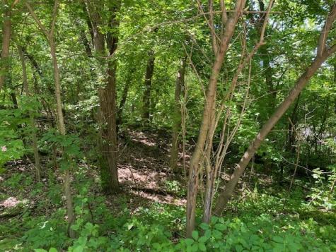 Lots 11 & 12 Ravine Drive Spring Grove IL 60081