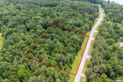 lot 411-412 Parrish Ridge Road Goreville IL 62939