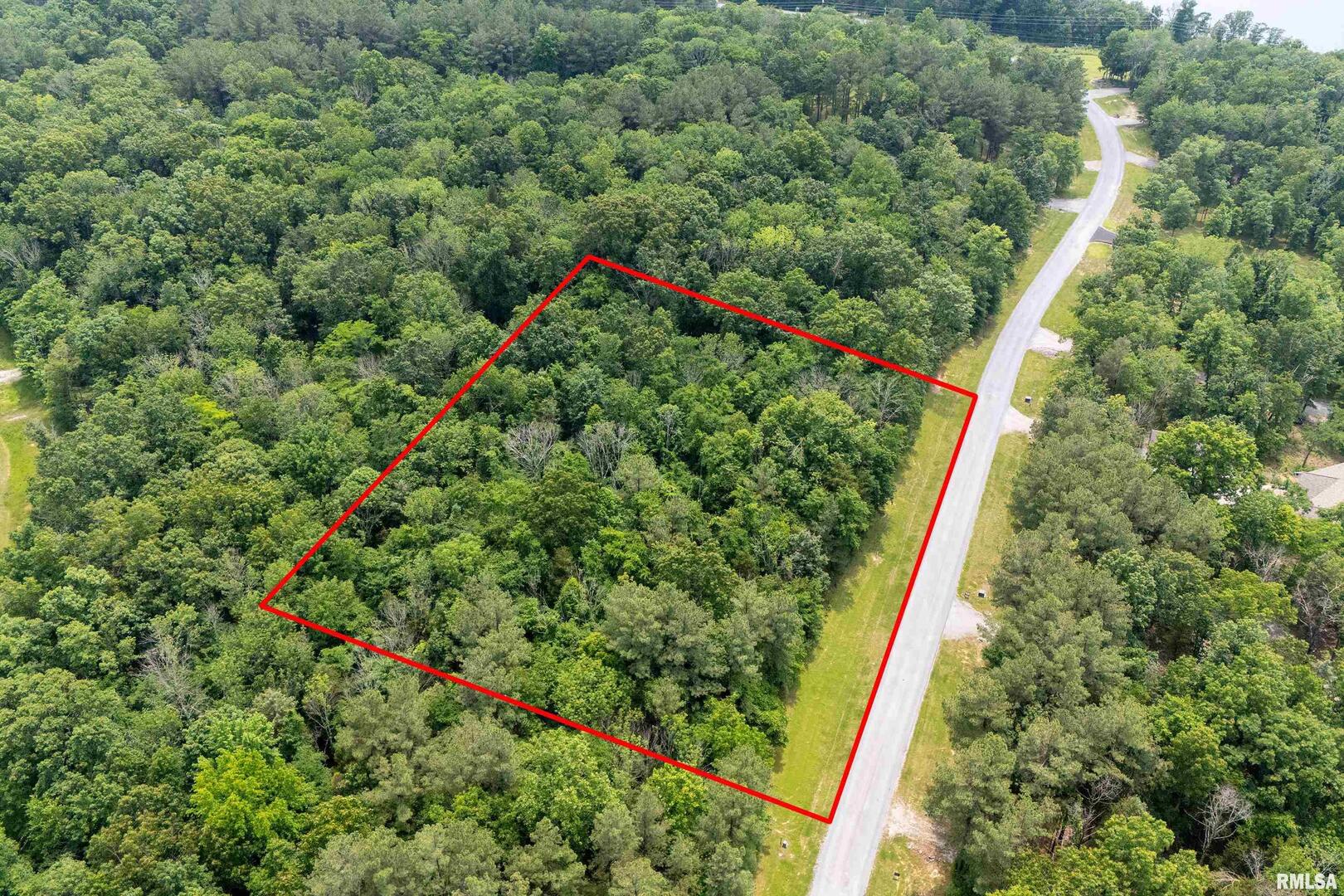 lot 411-412 Parrish Ridge Road Goreville IL 62939