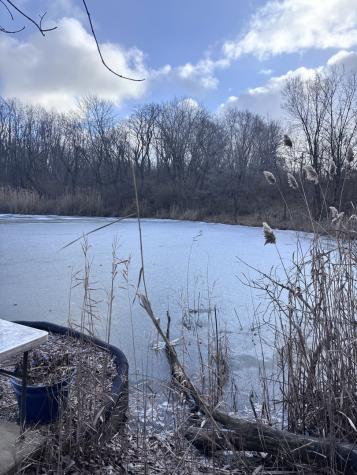1859 Erin Lane Morris IL 60450