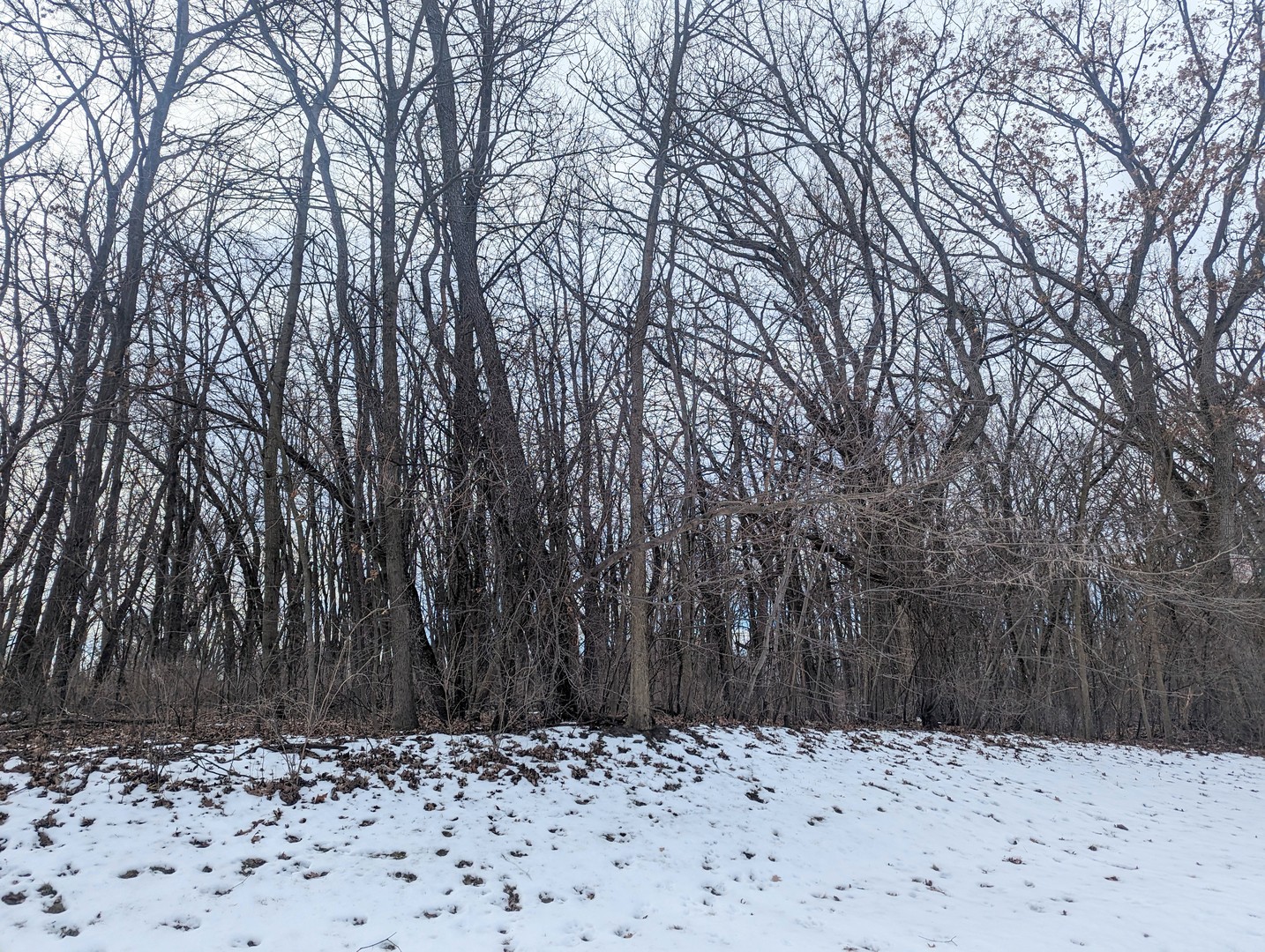1711 Cedar Lane Spring Grove IL 60081