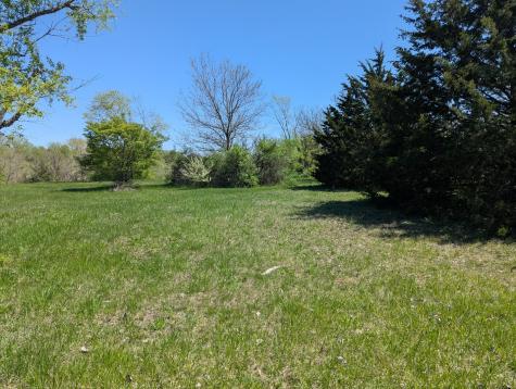 DOR1701B Henning Road Danville IL 61834