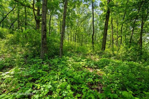 3888 Carlisle Drive Crystal Lake IL 60012