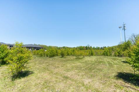 Lot 1 & 2 Deer Pond Drive St. Charles IL 60175