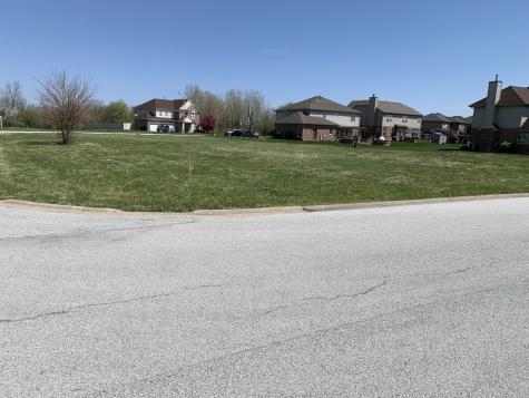 2053 Nichols Drive Lynwood IL 60411