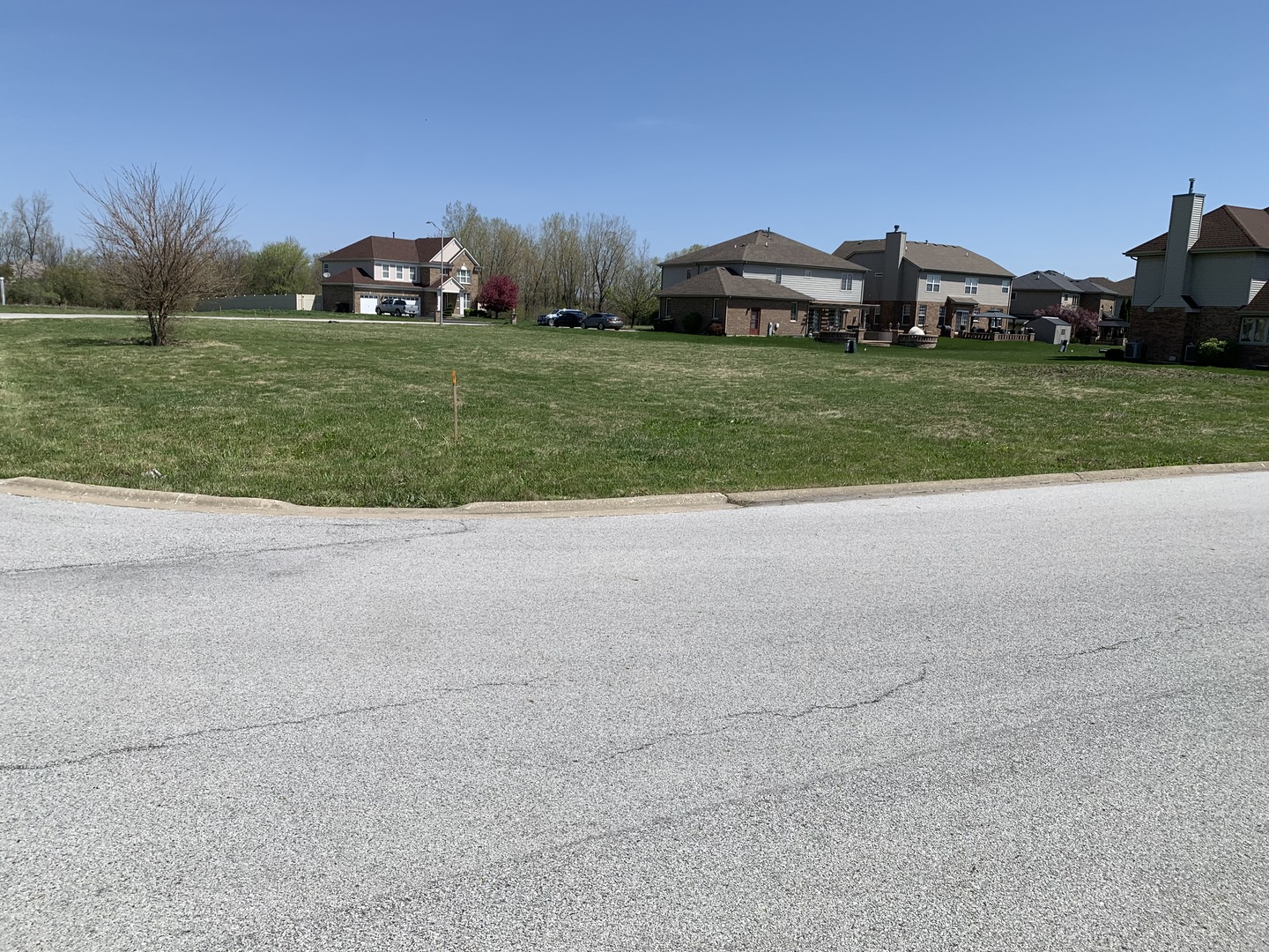 2053 Nichols Drive Lynwood IL 60411