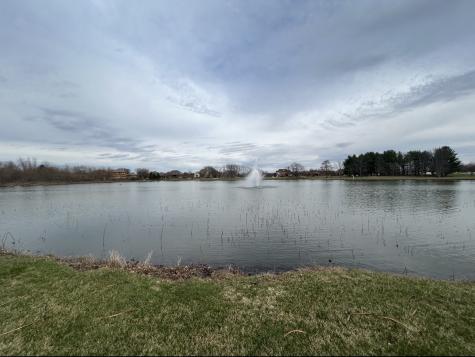 25306 South Tuscany West Drive Monee IL 60449
