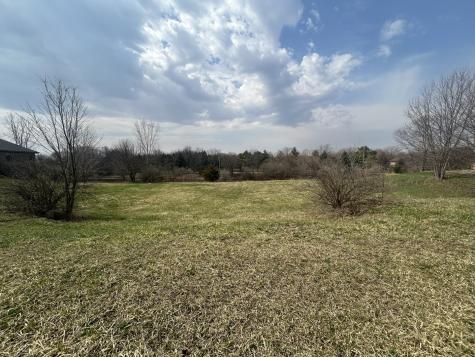 25306 South Tuscany West Drive Monee IL 60449