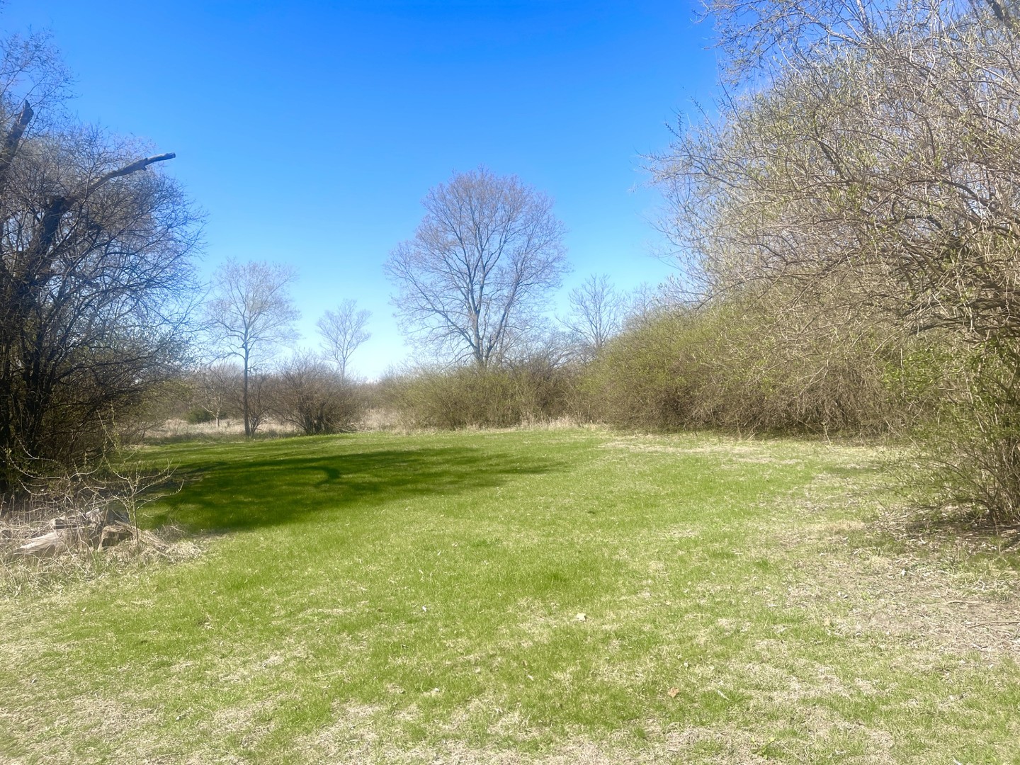 Johnson Street Utica IL 61373
