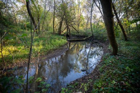 Hunter Road Capron IL 61012