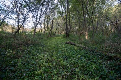 Hunter Road Capron IL 61012