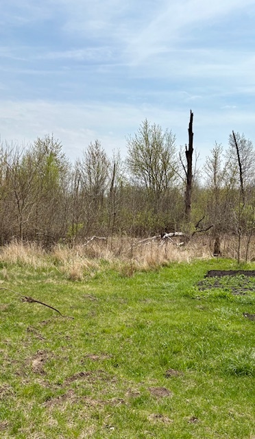 14/33 Woodhaven Sublette IL 61367