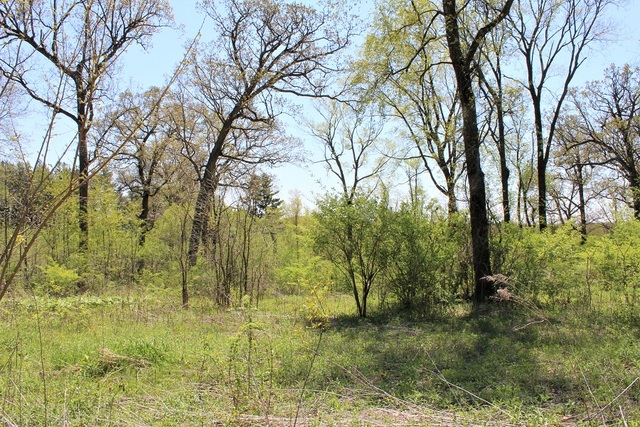 Lot 20 Masters Drive Morrison IL 61270