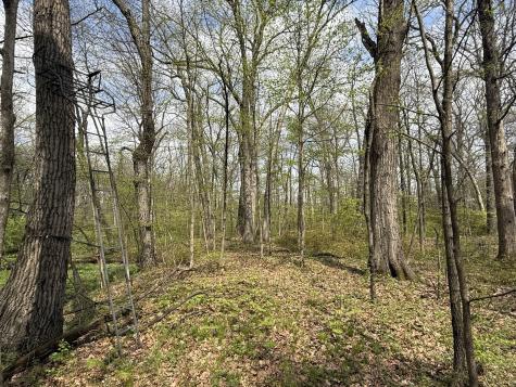 South Cottage Grove Avenue Crete IL 60417