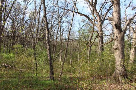 South Cottage Grove Avenue Crete IL 60417