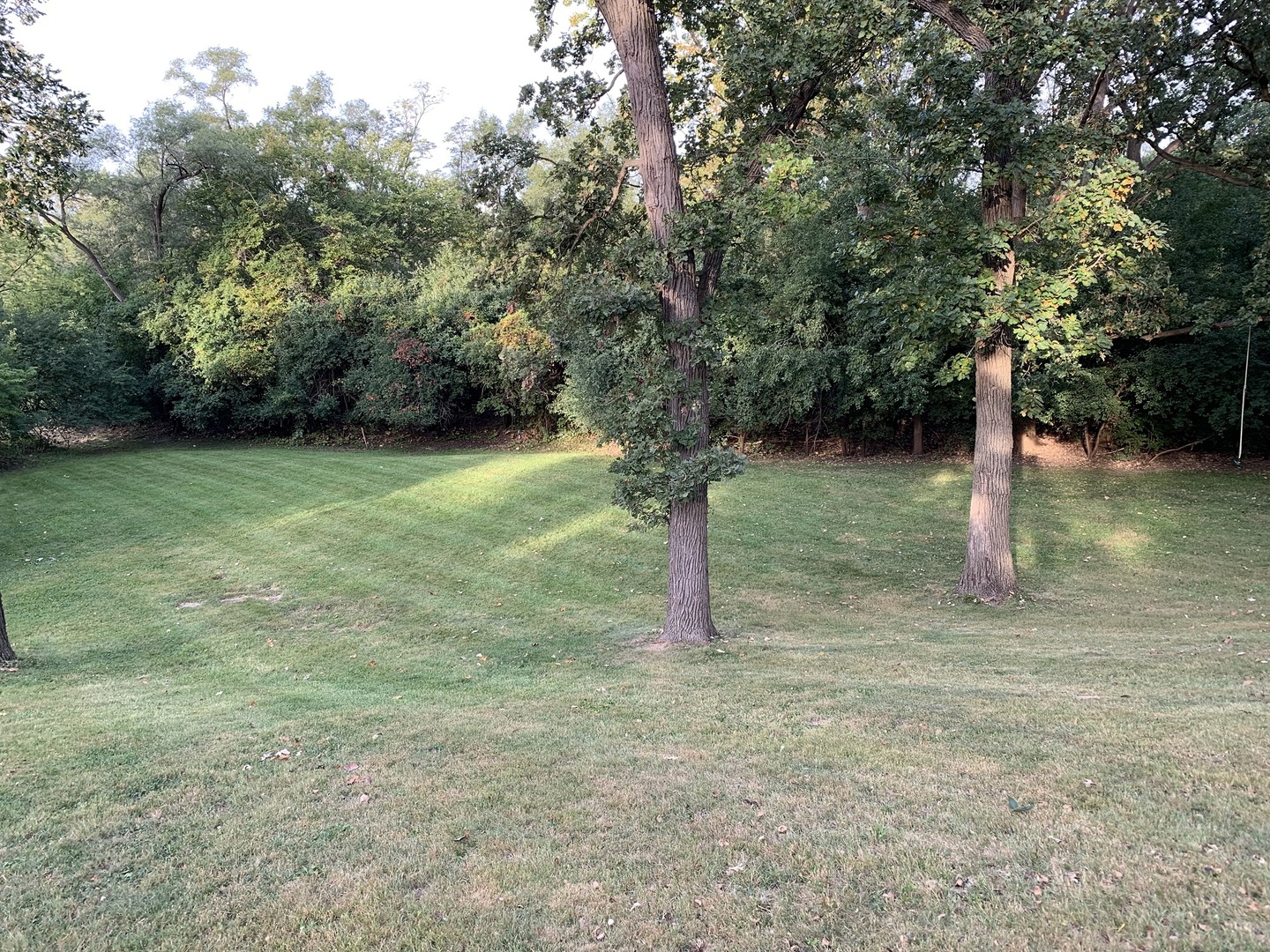 7 Yorkshire Woods (LOT 8) Drive Oak Brook IL 60523