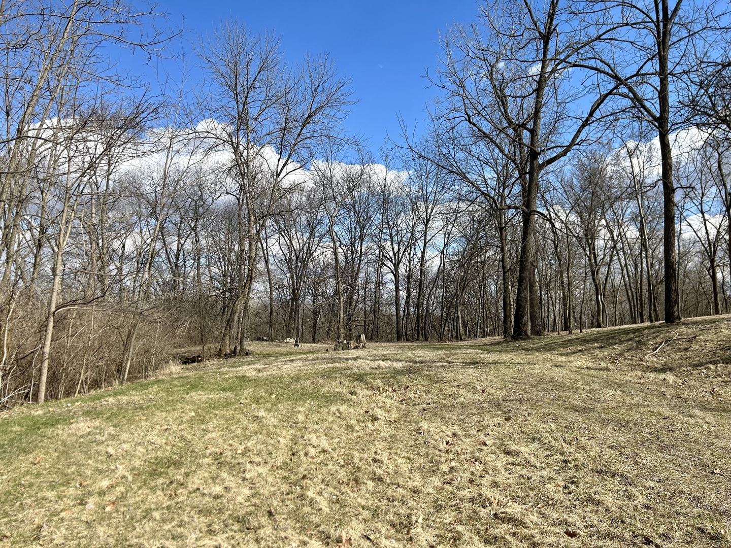 Lot 5 Thirty Foot Trail Road Oglesby IL 61348