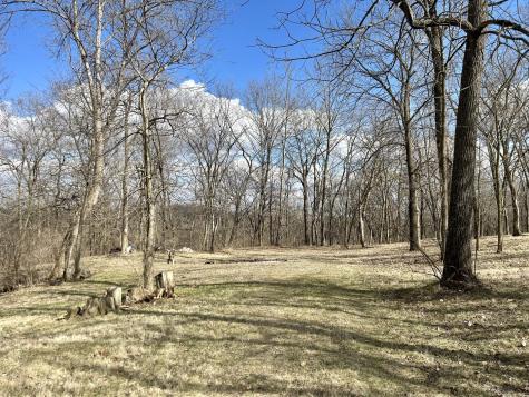 Lot 5 Thirty Foot Trail Road Oglesby IL 61348