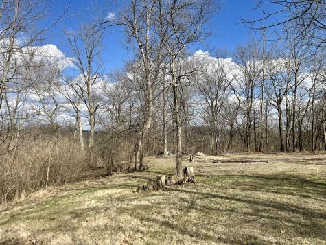 Lot 5 Thirty Foot Trail Road Oglesby IL 61348