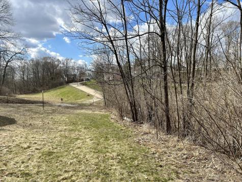 Lot 5 Thirty Foot Trail Road Oglesby IL 61348