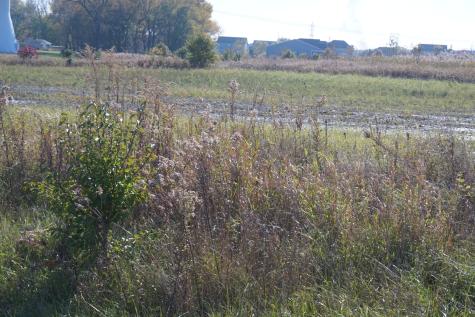 Lot7 and Lot8 Us Route 6 Road Channahon IL 60410