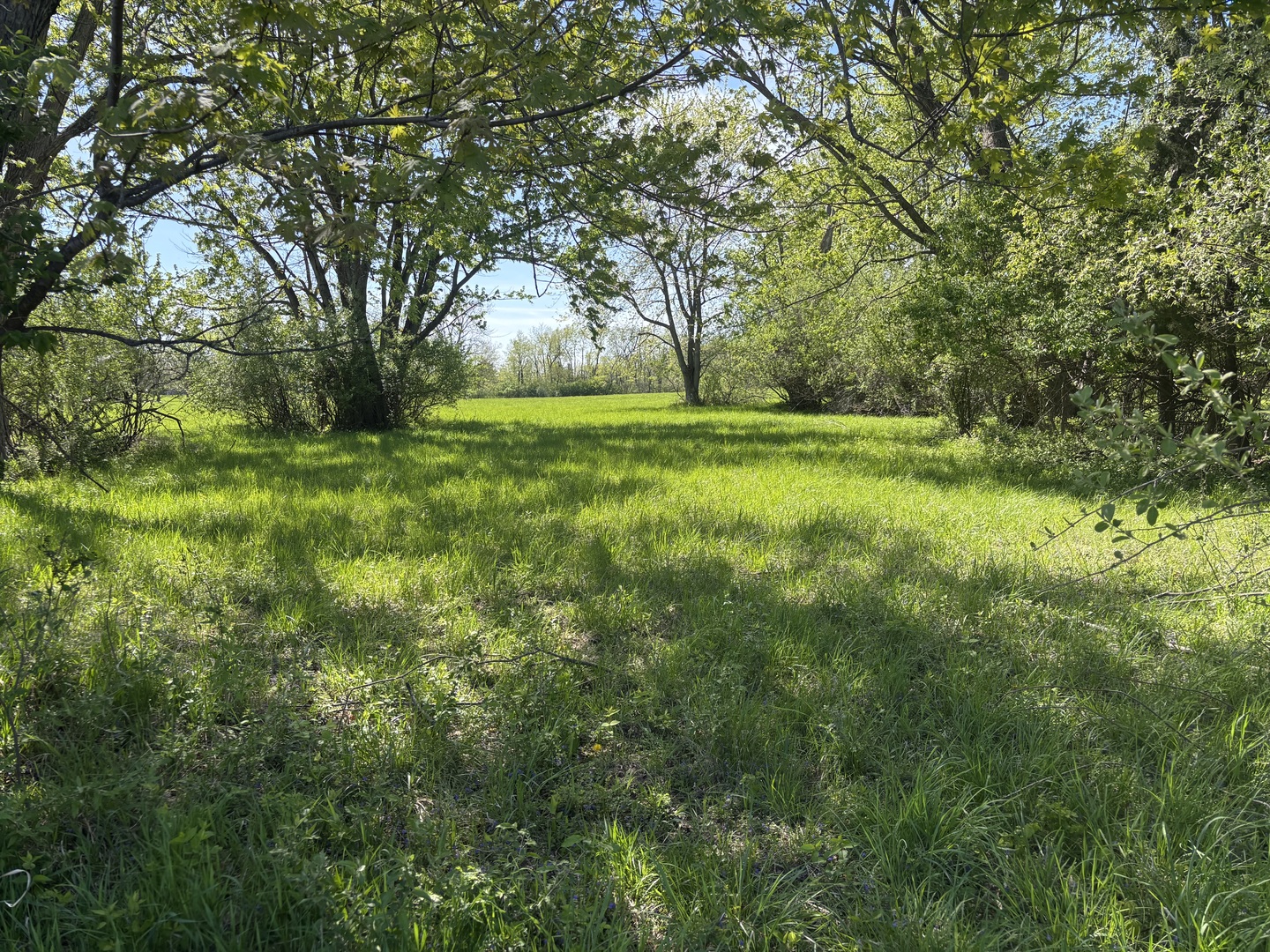650 Lake Wildwood Drive Varna IL 61375
