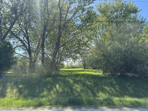 650 Lake Wildwood Drive Varna IL 61375