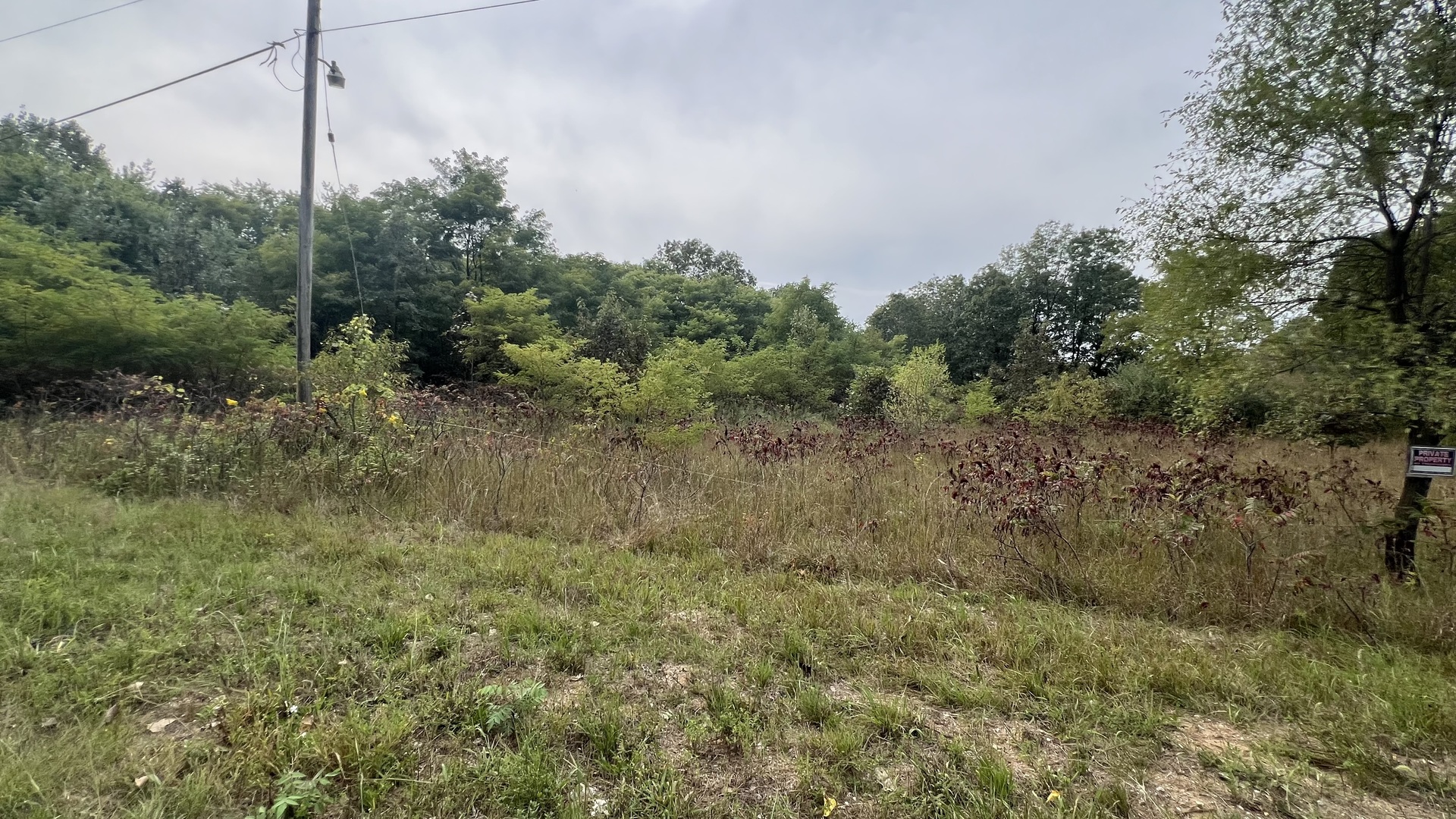 0007 Green Acres Road Pembroke Twp IL 60958