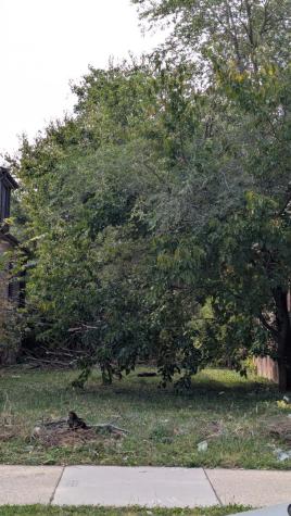 6722 South Oakley Avenue Chicago IL 60636