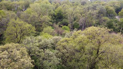 Lot 9 North Rainbow Road North Barrington IL 60010