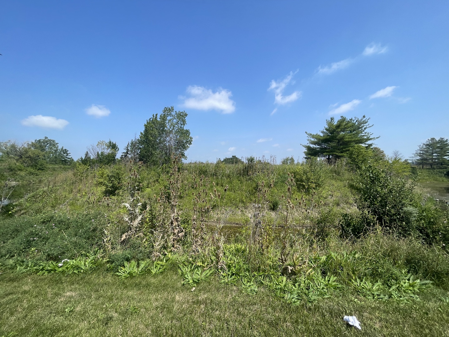 19099 Hickory Creek Drive Mokena IL 60448