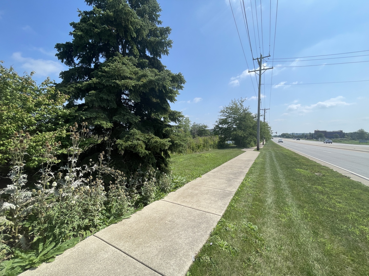 19099 Hickory Creek Drive Mokena IL 60448