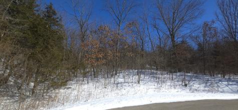 4 Boulder Lane Galena IL 61036