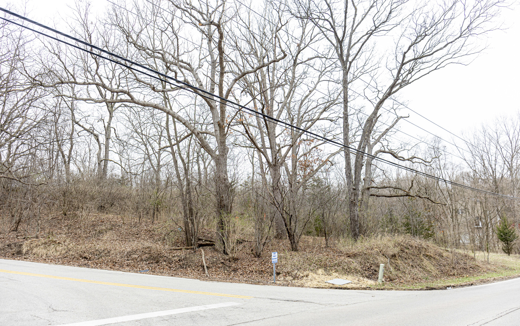 LOT 19 & LOT 18 Williams Road Lake Marian IL 60110